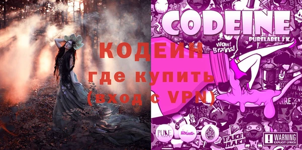 мдпв Верея