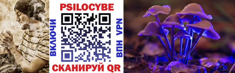 блэк спрут как зайти  Ирбит  Галлюциногенные грибы прущие грибы 